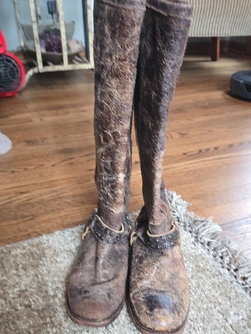 Frye Women's Knee High Brown Leather Boots with Studded Ankle Strap